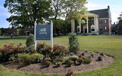 Cats Academy Boston