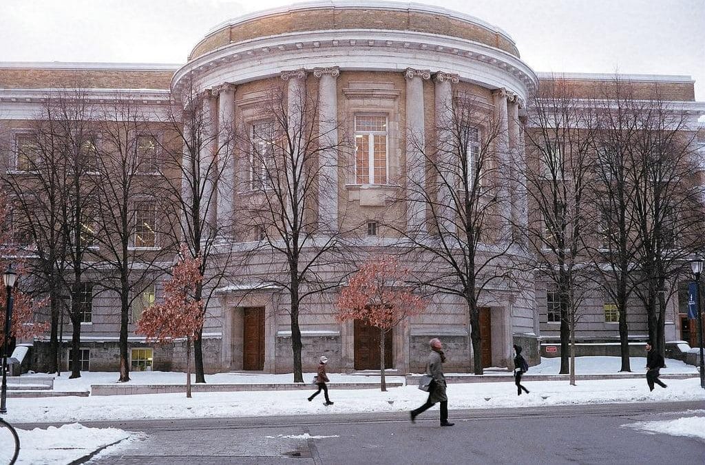 Stanford Üniversitesi